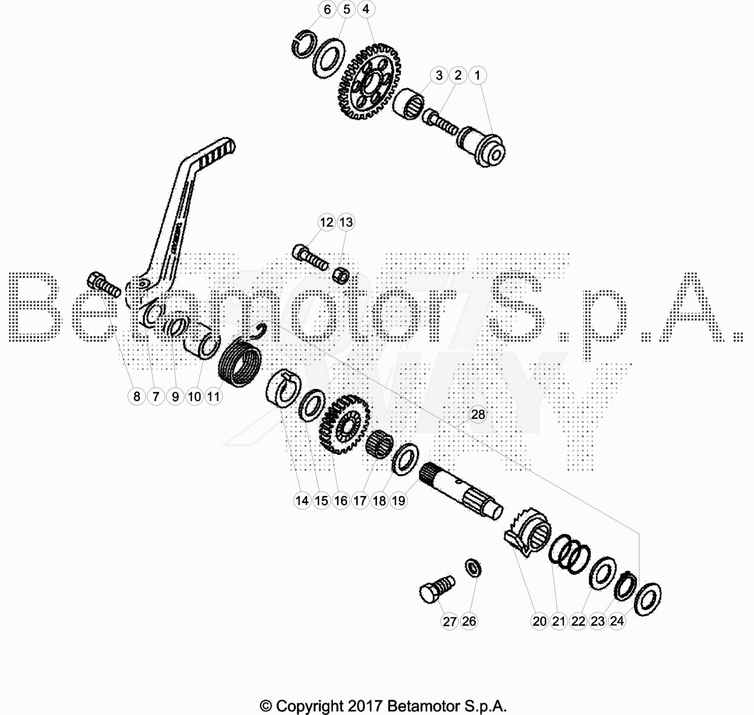 Tavola